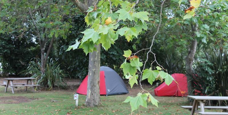 Turangi Holiday Park 외부 사진